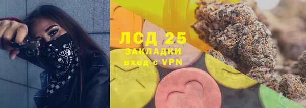 шишки Козельск
