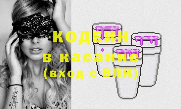 прущие грибы Кулебаки